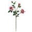 Picture of 68cm ROSE SPRAY PINK