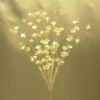 Picture of CRYSTAL SPRAY CLEAR BUNCH OF 12 - test 